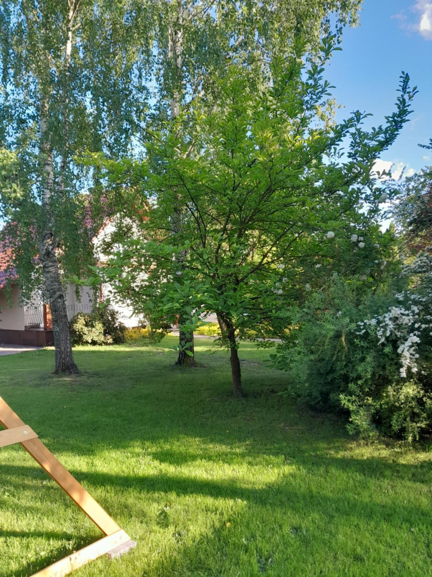 Domek Pod Brzozami Z Jacuzzi ,Grillem I Tarasem Przemyśl Zewnętrze zdjęcie